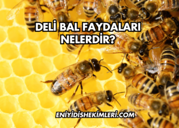 Deli Bal Faydaları Nelerdir?