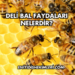 Deli Bal Faydaları Nelerdir?