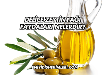 Delice Zeytinyağı Faydaları Nelerdir?