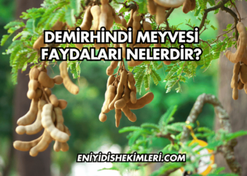 Demirhindi Meyvesi Faydaları Nelerdir?