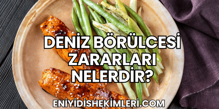 Deniz Börülcesi Zararları Nelerdir