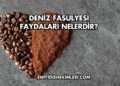 Deniz Fasulyesi Faydaları Nelerdir?