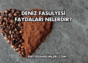 Deniz Fasulyesi Faydaları Nelerdir?