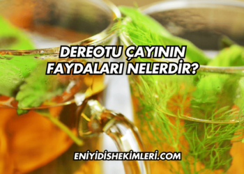 Dereotu Çayının Faydaları Nelerdir?