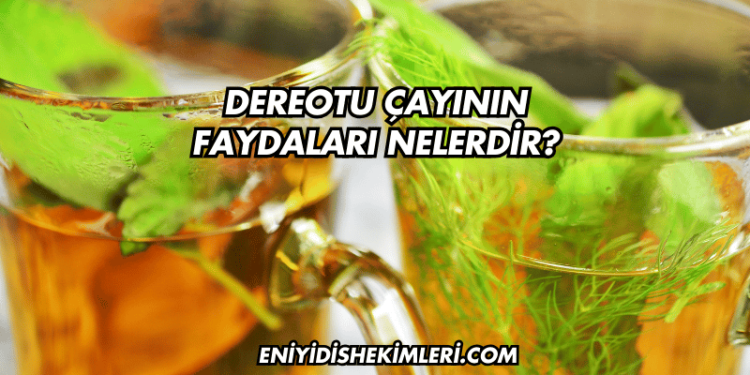 Dereotu Çayının Faydaları Nelerdir?