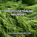 Dereotu Faydaları Nelerdir?