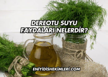 Dereotu Suyu Faydaları Nelerdir?