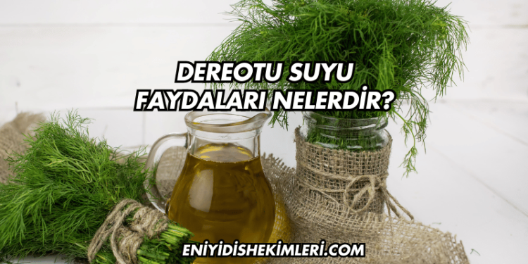 Dereotu Suyu Faydaları Nelerdir?