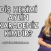 Diş Hekimi Aylin Karadeniz Kimdir?
