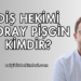 Diş Hekimi Koray Pişgin Kimdir?