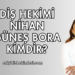 Diş Hekimi Nihan Güneş Bora Kimdir?