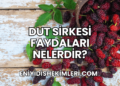 Dut Sirkesi Faydaları Nelerdir?