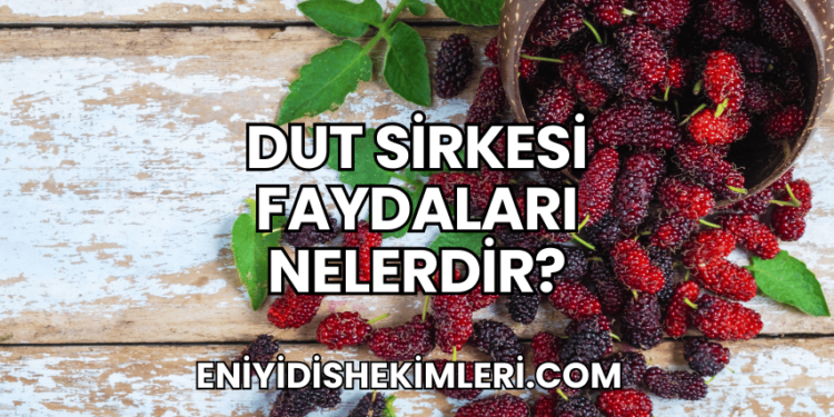 Dut Sirkesi Faydaları Nelerdir?