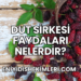 Dut Sirkesi Faydaları Nelerdir?