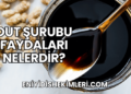 Dut Şurubu Faydaları Nelerdir?