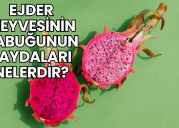 Ejder Meyvesinin Kabuğunun Faydaları Nelerdir?