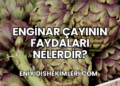 Enginar Çayının Faydaları Nelerdir?