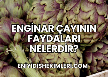 Enginar Çayının Faydaları Nelerdir?