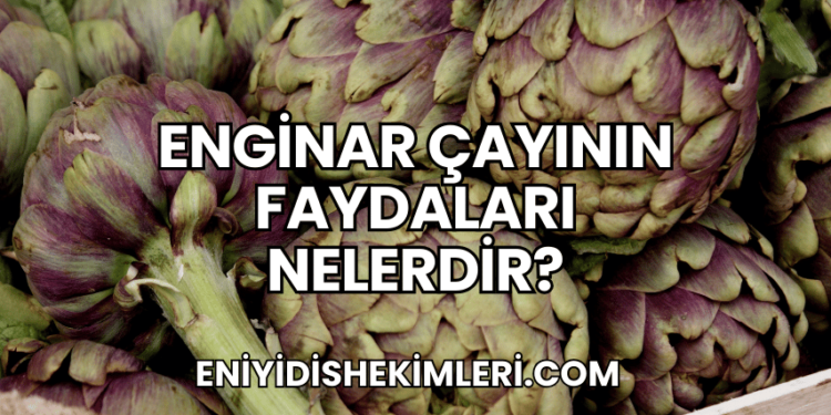 Enginar Çayının Faydaları Nelerdir?