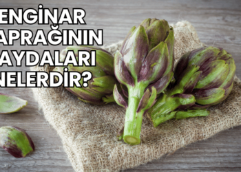 Enginar Yaprağının Faydaları Nelerdir?