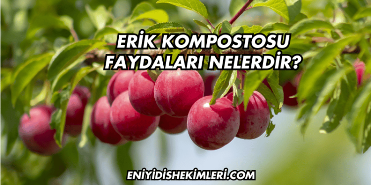 Erik Kompostosu Faydaları Nelerdir?
