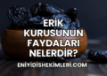 Erik Kurusunun Faydaları Nelerdir?