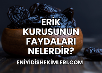 Erik Kurusunun Faydaları Nelerdir?