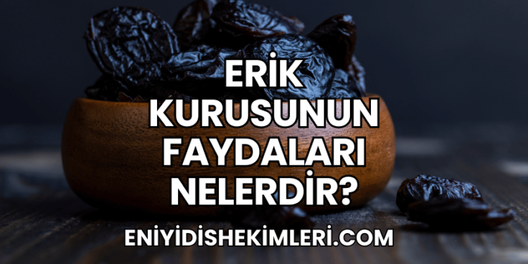 Erik Kurusunun Faydaları Nelerdir?