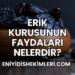 Erik Kurusunun Faydaları Nelerdir?