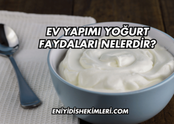 Ev Yapımı Yoğurt Faydaları Nelerdir?