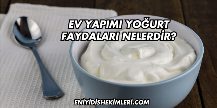 Ev Yapımı Yoğurt Faydaları Nelerdir?