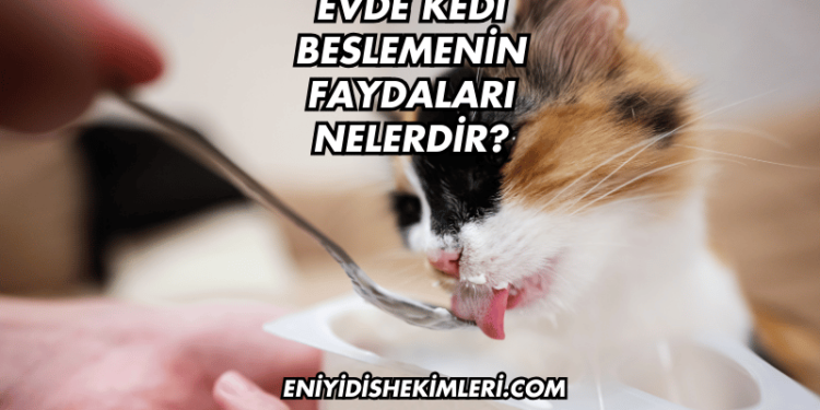 Evde Kedi Beslemenin Faydaları Nelerdir?