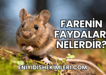 Farenin Faydaları Nelerdir?