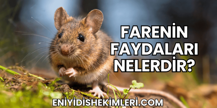 Farenin Faydaları Nelerdir?