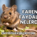 Farenin Faydaları Nelerdir?