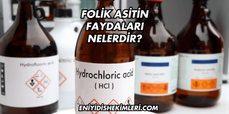 Folik Asitin Faydaları Nelerdir?