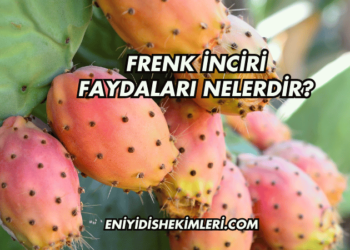 Frenk İnciri Faydaları Nelerdir?