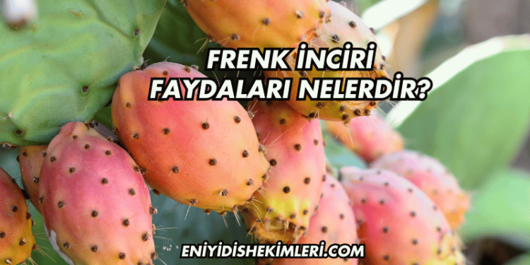 Frenk İnciri Faydaları Nelerdir?