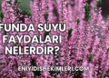 Funda Suyu Faydaları Nelerdir?