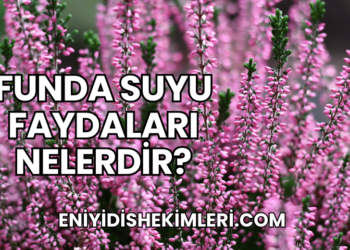 Funda Suyu Faydaları Nelerdir?