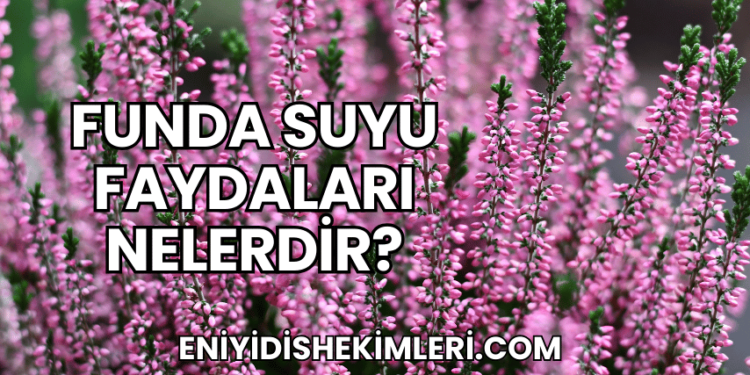 Funda Suyu Faydaları Nelerdir?