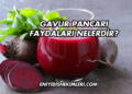 Gavur Pancarı Faydaları Nelerdir?