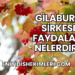 Gilaburu Sirkesi Faydaları Nelerdir?