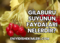 Gilaburu Suyunun Faydaları Nelerdir?