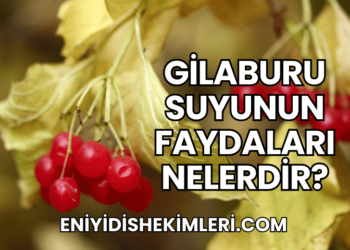 Gilaburu Suyunun Faydaları Nelerdir?