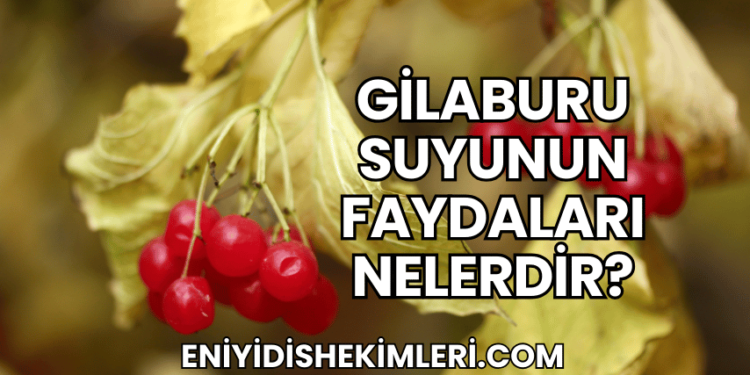 Gilaburu Suyunun Faydaları Nelerdir?