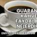 Guarana Kahve Faydaları Nelerdir?