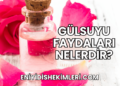 Gülsuyu Faydaları Nelerdir?