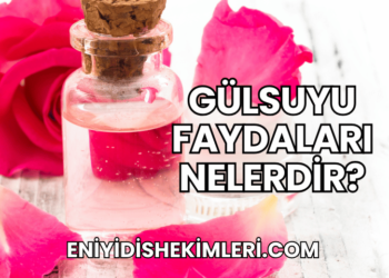 Gülsuyu Faydaları Nelerdir?
