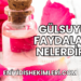 Gülsuyu Faydaları Nelerdir?